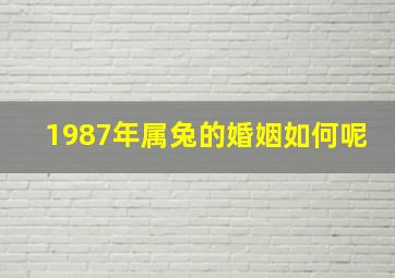 1987年属兔的婚姻如何呢