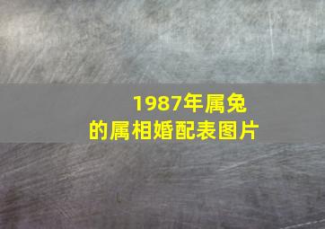 1987年属兔的属相婚配表图片