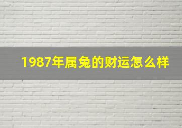 1987年属兔的财运怎么样