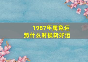 1987年属兔运势什么时候转好运