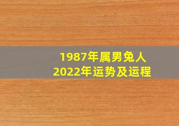 1987年属男兔人2022年运势及运程