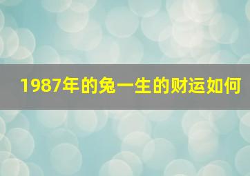 1987年的兔一生的财运如何