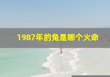 1987年的兔是哪个火命