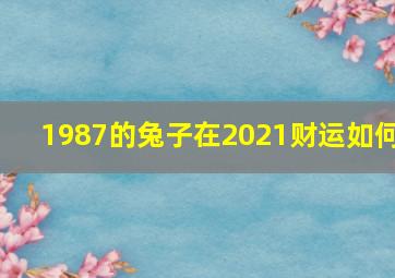 1987的兔子在2021财运如何