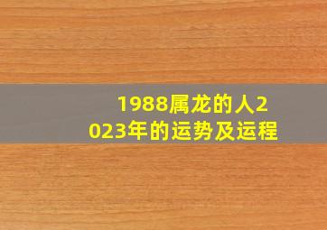 1988属龙的人2023年的运势及运程