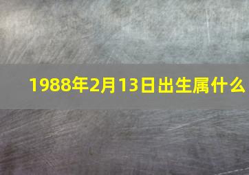 1988年2月13日出生属什么