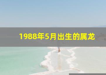 1988年5月出生的属龙