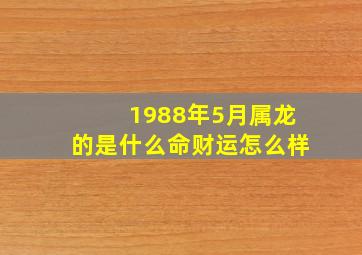 1988年5月属龙的是什么命财运怎么样