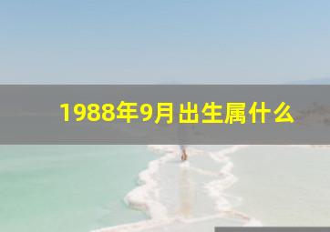 1988年9月出生属什么