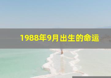 1988年9月出生的命运