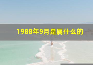 1988年9月是属什么的