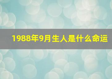 1988年9月生人是什么命运