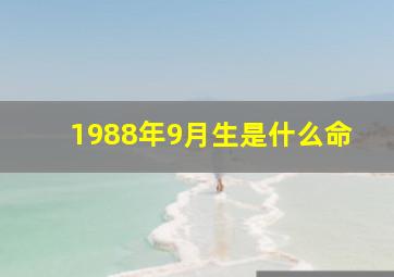 1988年9月生是什么命