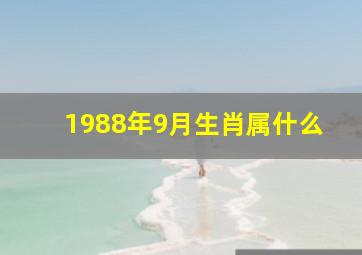 1988年9月生肖属什么