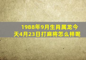 1988年9月生肖属龙今天4月23日打麻将怎么样呢