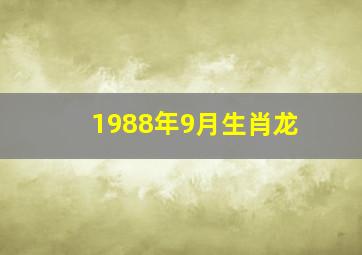 1988年9月生肖龙