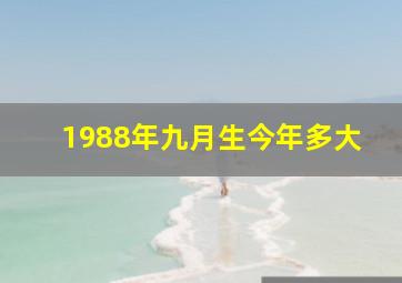 1988年九月生今年多大