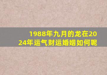 1988年九月的龙在2024年运气财运婚姻如何呢