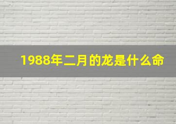 1988年二月的龙是什么命