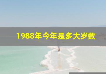 1988年今年是多大岁数