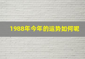 1988年今年的运势如何呢