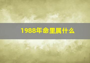 1988年命里属什么