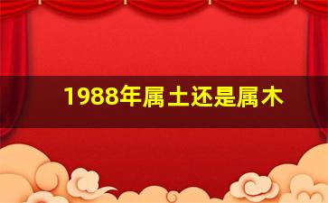 1988年属土还是属木