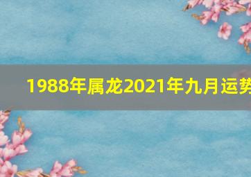 1988年属龙2021年九月运势