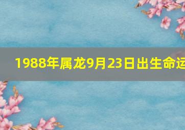 1988年属龙9月23日出生命运