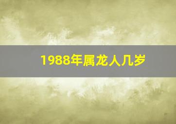 1988年属龙人几岁