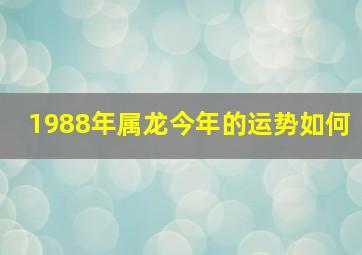 1988年属龙今年的运势如何