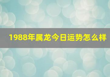 1988年属龙今日运势怎么样