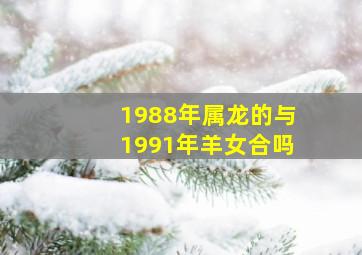 1988年属龙的与1991年羊女合吗