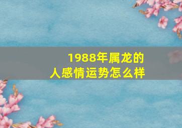 1988年属龙的人感情运势怎么样