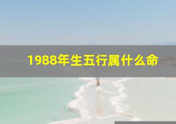 1988年生五行属什么命