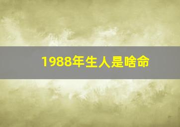 1988年生人是啥命