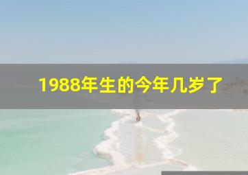 1988年生的今年几岁了