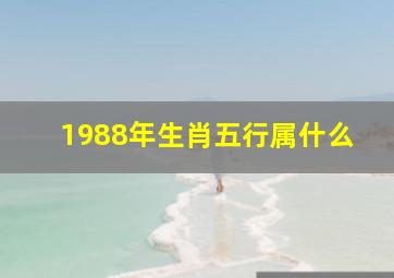 1988年生肖五行属什么