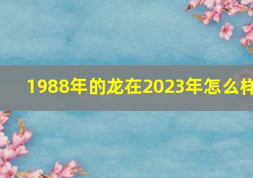 1988年的龙在2023年怎么样