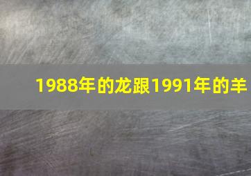 1988年的龙跟1991年的羊