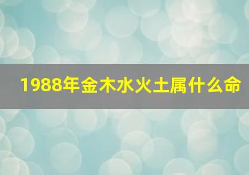 1988年金木水火土属什么命