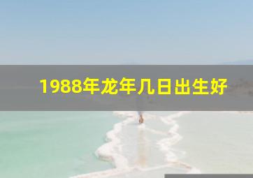 1988年龙年几日出生好