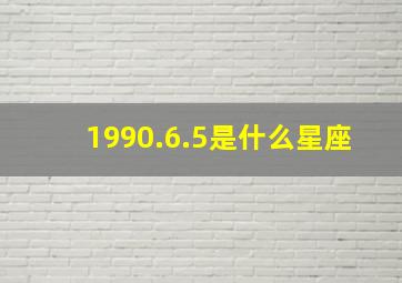 1990.6.5是什么星座