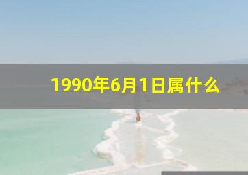 1990年6月1日属什么