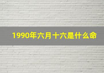 1990年六月十六是什么命