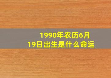 1990年农历6月19日出生是什么命运