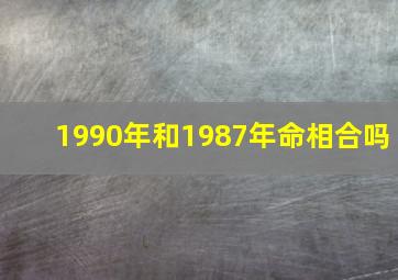 1990年和1987年命相合吗