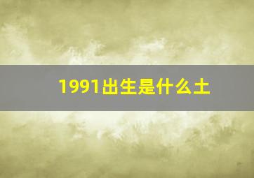 1991出生是什么土