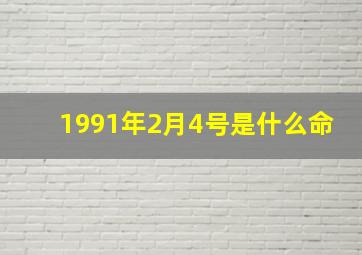 1991年2月4号是什么命