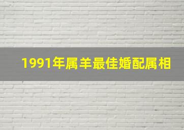 1991年属羊最佳婚配属相